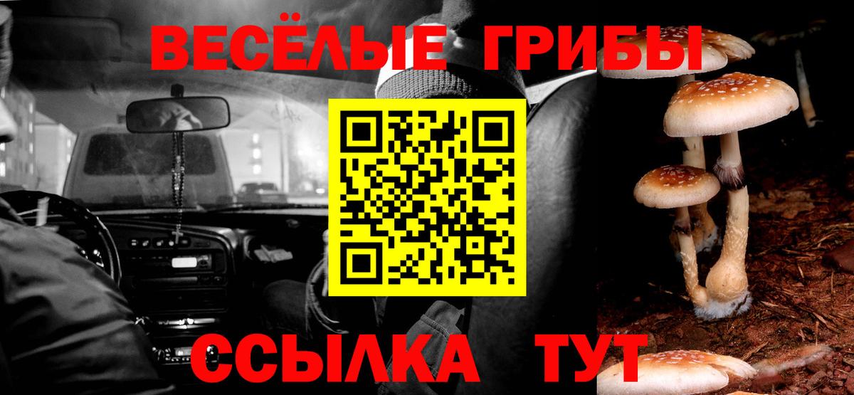 Псилоцибиновые грибы мицелий Набережные Челны
